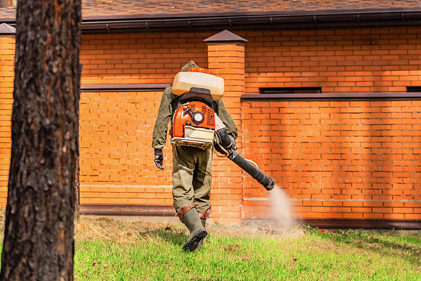 Trusted Rodent Control service in Sheridan, OR - Nex Pest Control